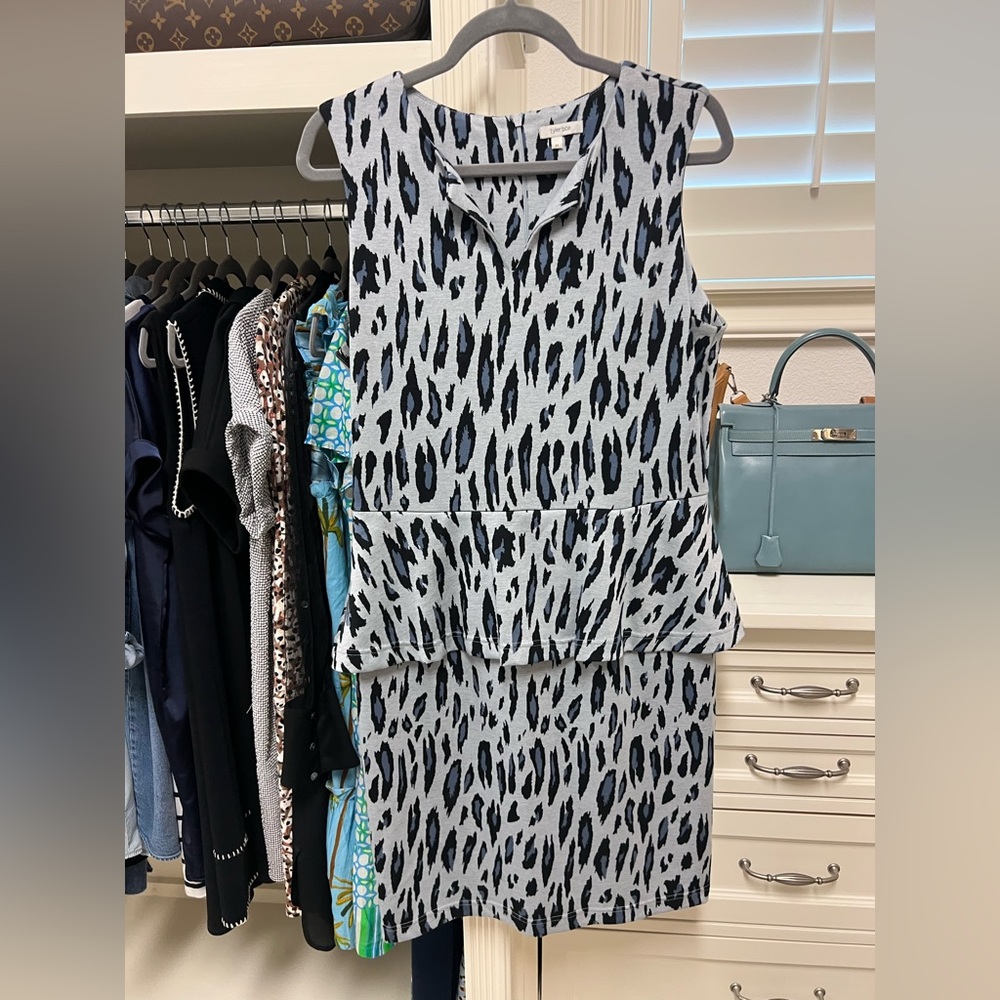 Leopard Print Dress